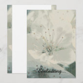 Cherry Blossom (Front/Back)