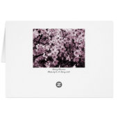 Cherry Blossom (Back Horizontal)