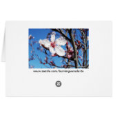 Cherry Blossom 2 Cards (Back Horizontal)
