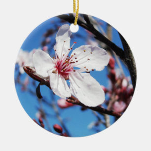 Cherry Blossom 2 Ceramic Ornament