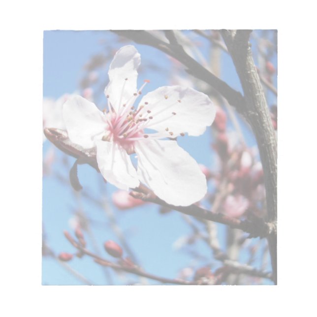 Cherry Blossom 2 Notepad (Front)