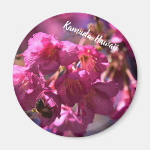 Cherry Blossom and a Bee Magnet