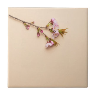 Cherry Blossom and Daisy Background Ceramic Tile