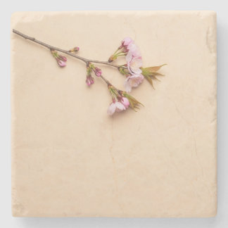 Cherry Blossom and Daisy Background Stone Coaster