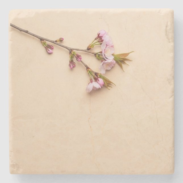 Cherry Blossom and Daisy Background Stone Coaster (Front)