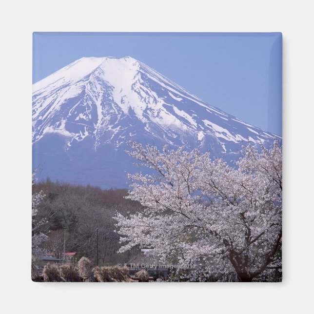 Cherry Blossom and Mt. Fuji Magnet (Front)