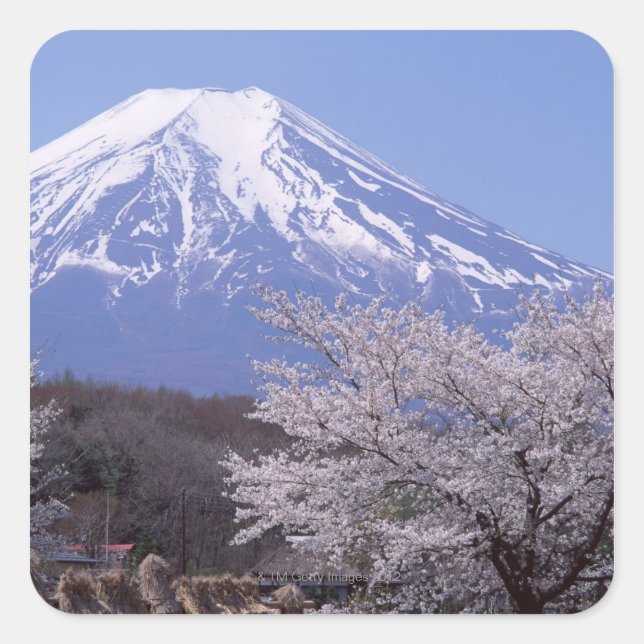 Cherry Blossom and Mt. Fuji Square Sticker (Front)