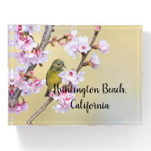 Cherry Blossom and Warbler, Huntington Beach CA