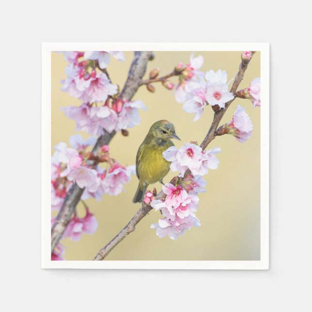 Cherry Blossom and Warbler Napkins (Front)