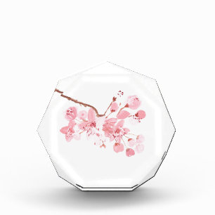 cherry blossom art award