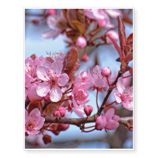 Cherry Blossom Asia Temporary Tattoos