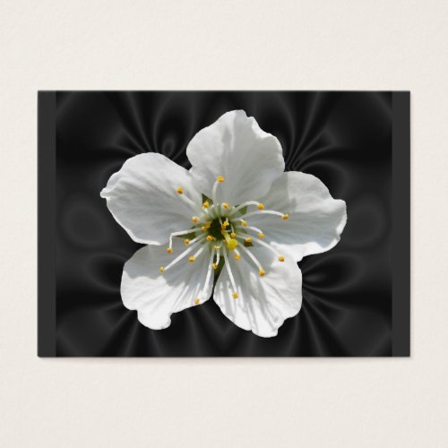 Cherry blossom ~ ATC Business Card Template