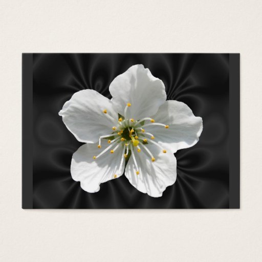 Customizable Cherry blossom ~ ATC Business Card Template