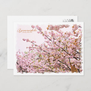 Cherry Blossom "Azuma-nishiki" Postcard