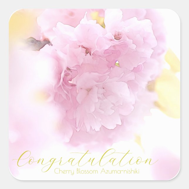 Cherry Blossom "Azuma-nishiki" Square Sticker (Front)