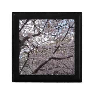 Cherry blossom, black lacquer gift box