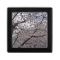 Cherry blossom, black lacquer gift box