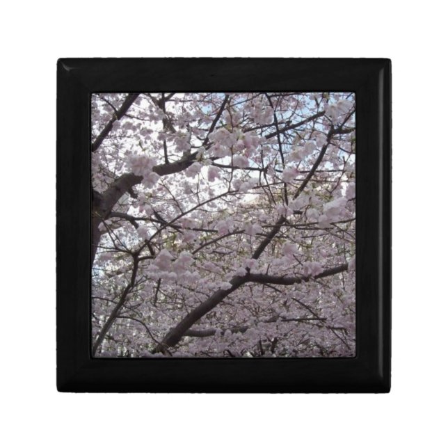 Cherry blossom, black lacquer gift box (Front)