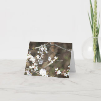Cherry Blossom Blank Letterpress Thank You Card