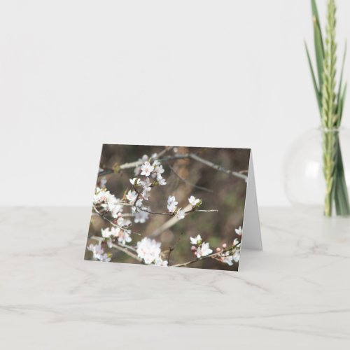 Cherry Blossom Blank Thank You Card