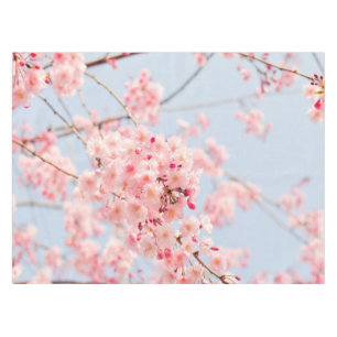 Cherry Blossom Blue rose  Lighthouse Route Decor Tablecloth
