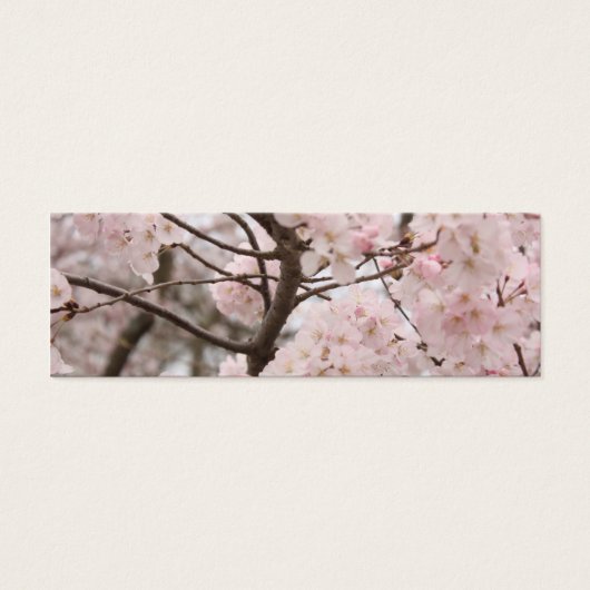 Cherry Blossom Bookmark (Front)