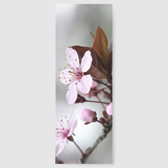 Cherry Blossom Bookmark (Front)