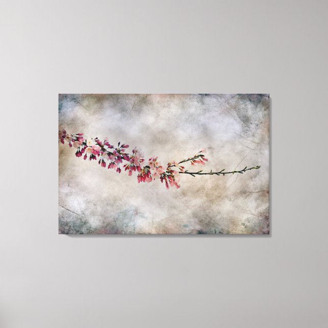 Cherry Blossom Branch Canvas Print (Front)