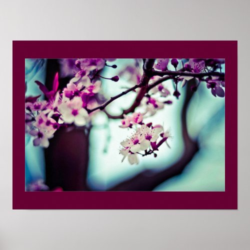 Cherry Blossom Branch Poster