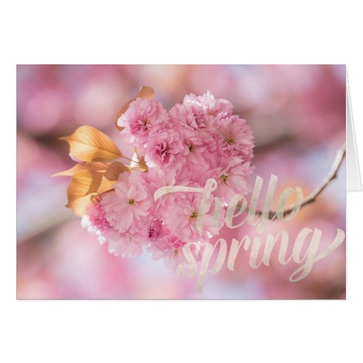 Cherry Blossom Branch Spring Text Cards (Front Horizontal)