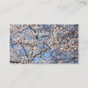 Cherry Blossom Business Card