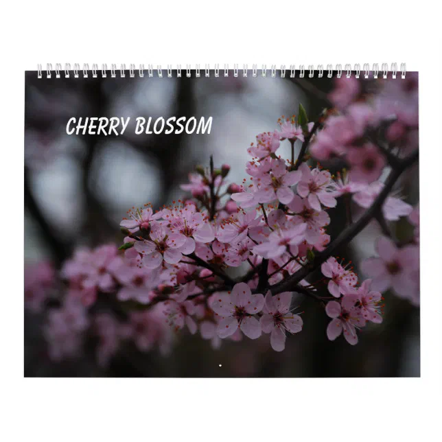 Cherry Blossom Calendar Zazzle