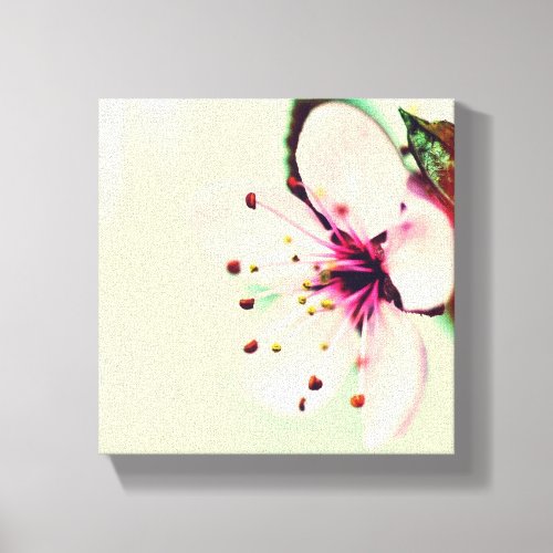 Cherry Blossom Canvas Print