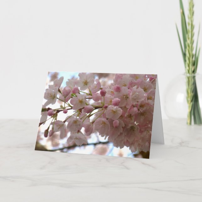 Cherry Blossom Card White Blossom Card Personalize (Front)
