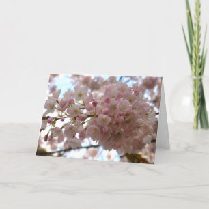 Cherry Blossom Card White Blossom Card Personalize