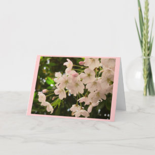Cherry Blossom Card White Blossom Card Personalize