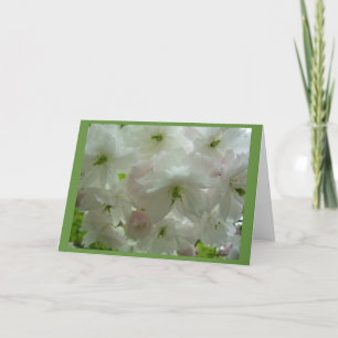 Cherry Blossom Card White Blossom Card Personalize