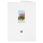 Cherry Blossom Cards (Back)
