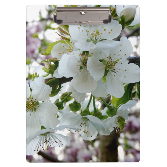 Cherry Blossom Clipboard (Front)