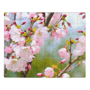 Cherry Blossom Close Up Jigsaw Puzzle