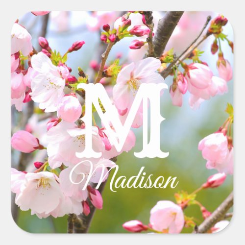 Cherry Blossom Close Up Square Sticker