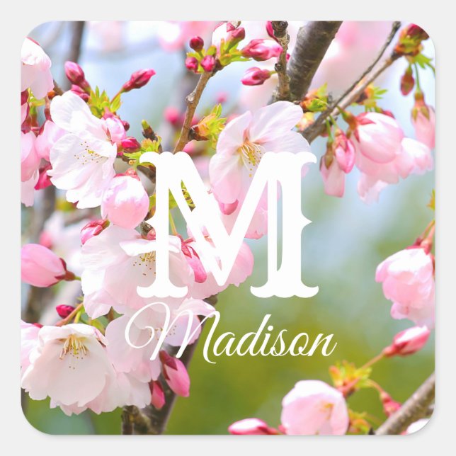Cherry Blossom Close Up Square Sticker (Front)