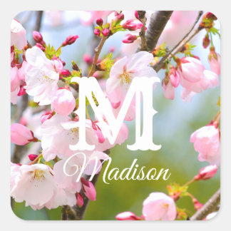 Cherry Blossom Close Up Square Sticker