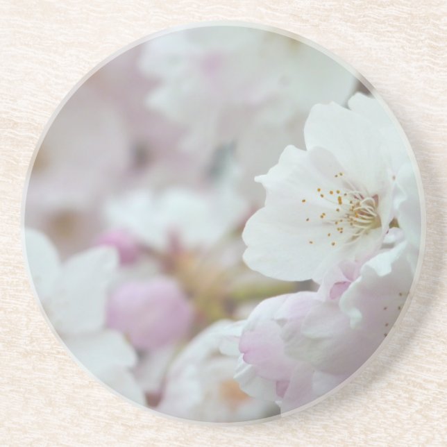Cherry Blossom Coasters Lucky Gifts Keepsake Decor (Front)