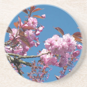 Cherry Blossom Drink Coaster