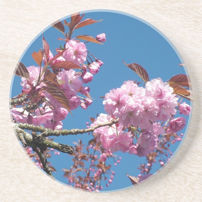 Cherry Blossom Drink Coaster (Front)