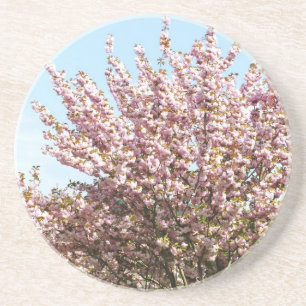 Cherry Blossom Drink Coaster