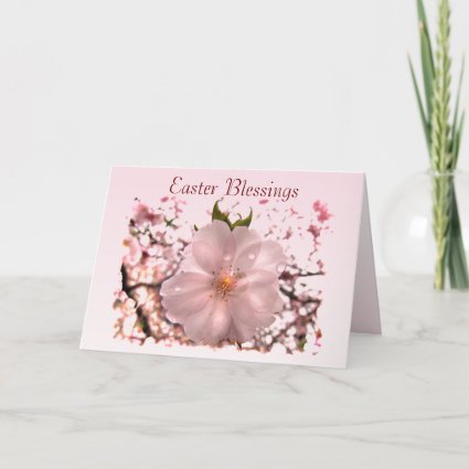 Cherry Blossom Easter Holiday Card