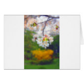 Cherry Blossom Fantasy (Front Horizontal)