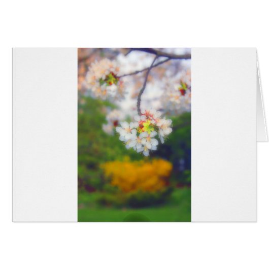 Cherry Blossom Fantasy Cards (Front Horizontal)